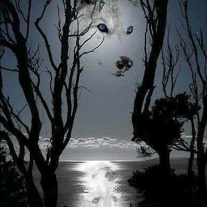 Meet your Posher, Carla